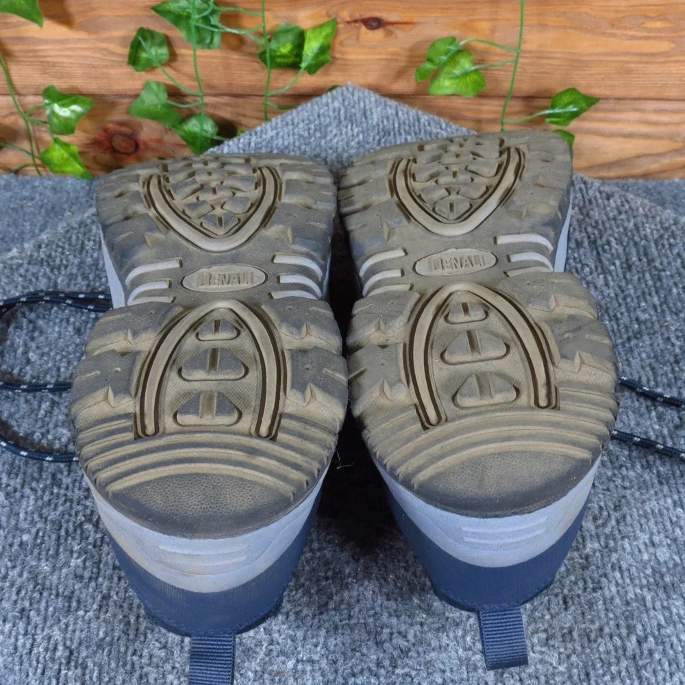 Denali alpine low